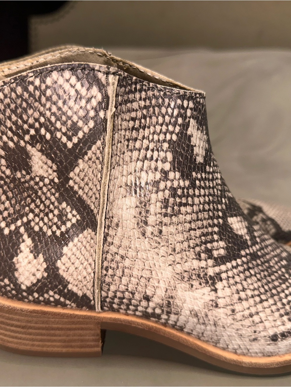 Dolce Vita Black & White Snake-Print Ankle Bootie